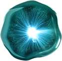 Phylobioma