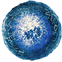 Procerad