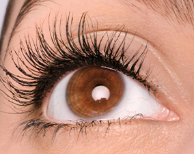 Rzęsy po użyciu tuszu Lash Sensational Body Maskara są dłuższe i gęstsze