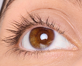 Naturalne rzęsy przed użyciem tuszu Lash Sensational Body Maskara są krótsze i mniej gęste