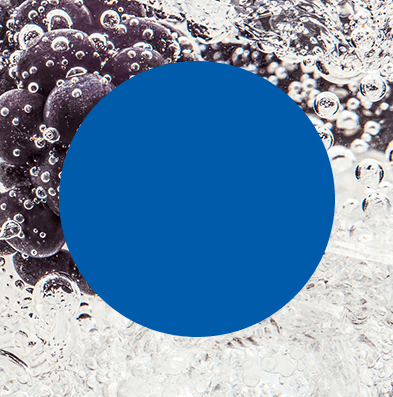 Dwie osoby wznoszą toast kieliszkami z gazowanymi napojami, jeden z plasterkiem brzoskwini, drugi z cytryną, na jasnym tle.